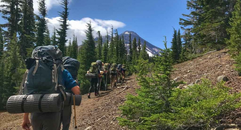 a group of students carrying backpacks hike along an alpine trail lined with trees